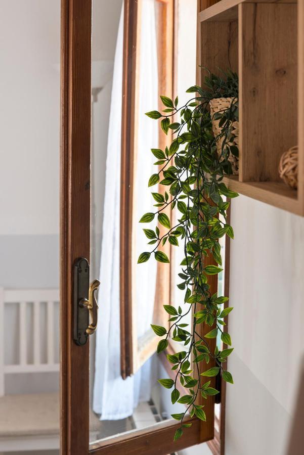 Colombina Like At Home 3 Bedrooms Fully Equipped Air Conditioned ヴェネツィア エクステリア 写真
